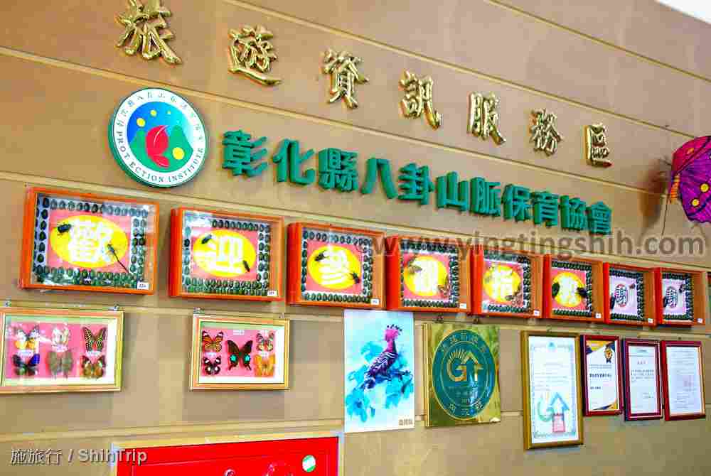 第4317篇[彰化社頭]清水岩生態展示中心Ｘ台灣施旅行｜Changhua Shetou Qingshuiyan Ecological Exhibition Center X Taiwan ShihTrip