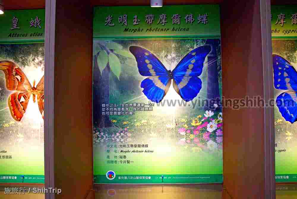 第4317篇[彰化社頭]清水岩生態展示中心Ｘ台灣施旅行｜Changhua Shetou Qingshuiyan Ecological Exhibition Center X Taiwan ShihTrip