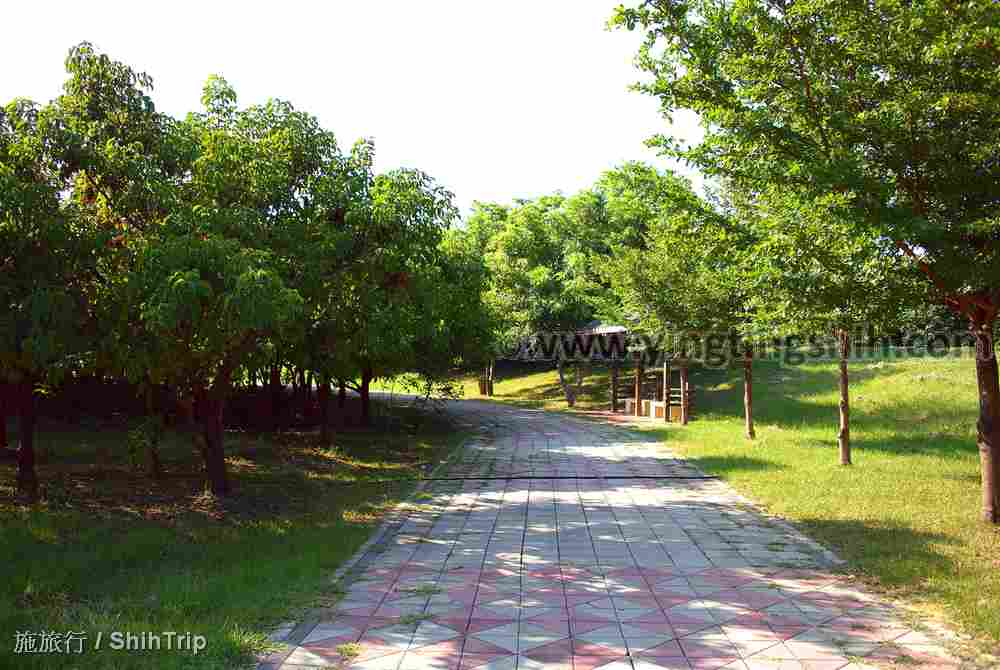 第4333篇[彰化伸港]濱海植物園區Ｘ台灣施旅行｜Changhua Shengang Coastal Botanical Garden X Taiwan ShihTrip