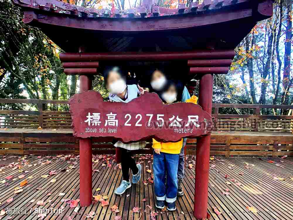 第4574篇[台中和平]大雪山國家森林遊樂區／遊客服務中心Ｘ台灣施旅行｜Taichung Heping Daxueshan National Forest Recreation Area X Taiwan ShihTrip