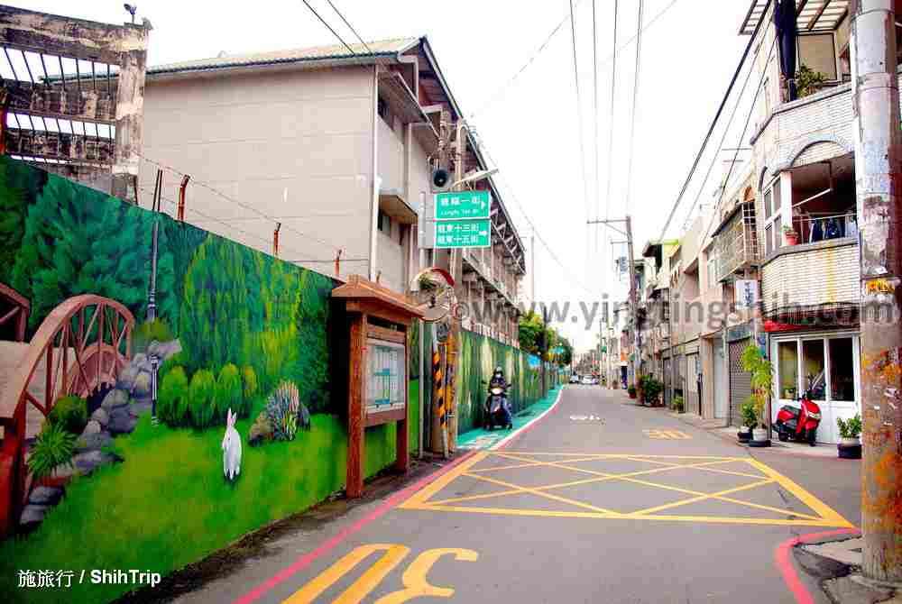 第4599篇[桃園中壢]龍東里3D彩繪巷／動物主題彩繪牆Ｘ台灣施旅行｜Taoyuan Zhongli Longdongli 3D Painted Alley X Taiwan ShihTrip