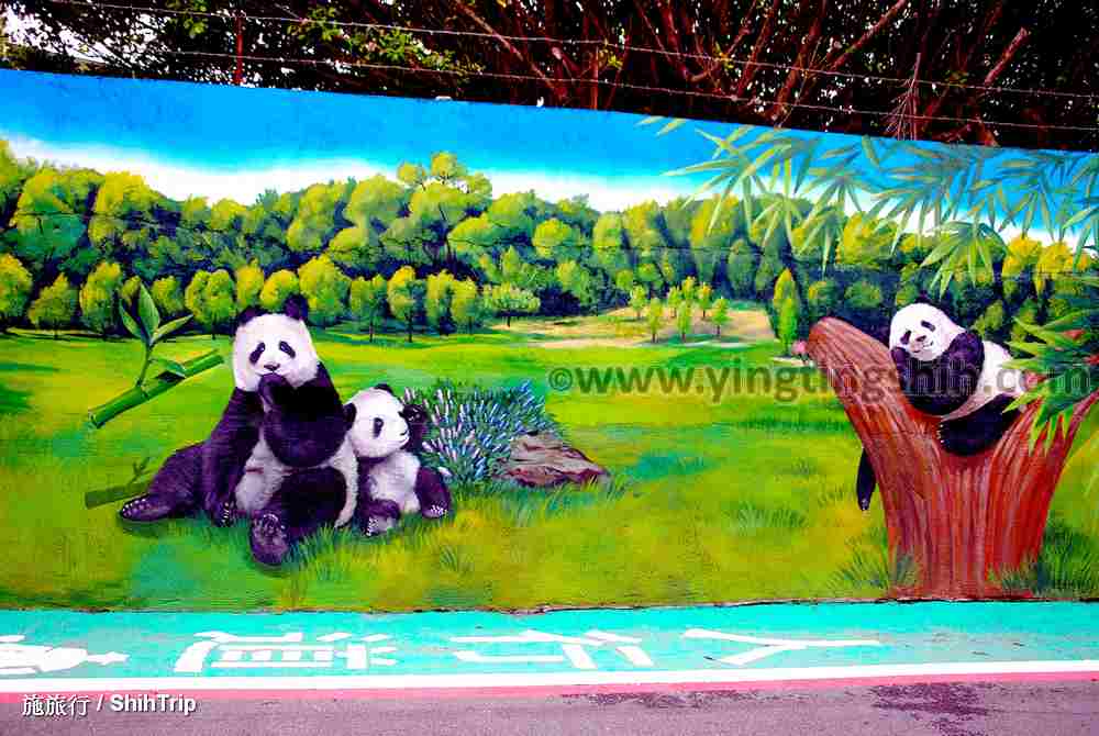 第4599篇[桃園中壢]龍東里3D彩繪巷／動物主題彩繪牆Ｘ台灣施旅行｜Taoyuan Zhongli Longdongli 3D Painted Alley X Taiwan ShihTrip