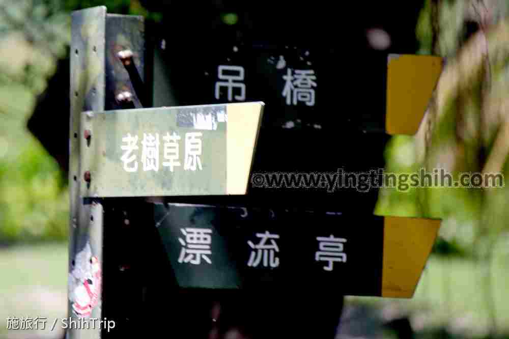 第4921篇[高雄三民]中都濕地公園／遊客中心Ｘ台灣施旅行｜Kaohsiung Sanmin Zhongdu Wetland Park X Taiwan ShihTrip
