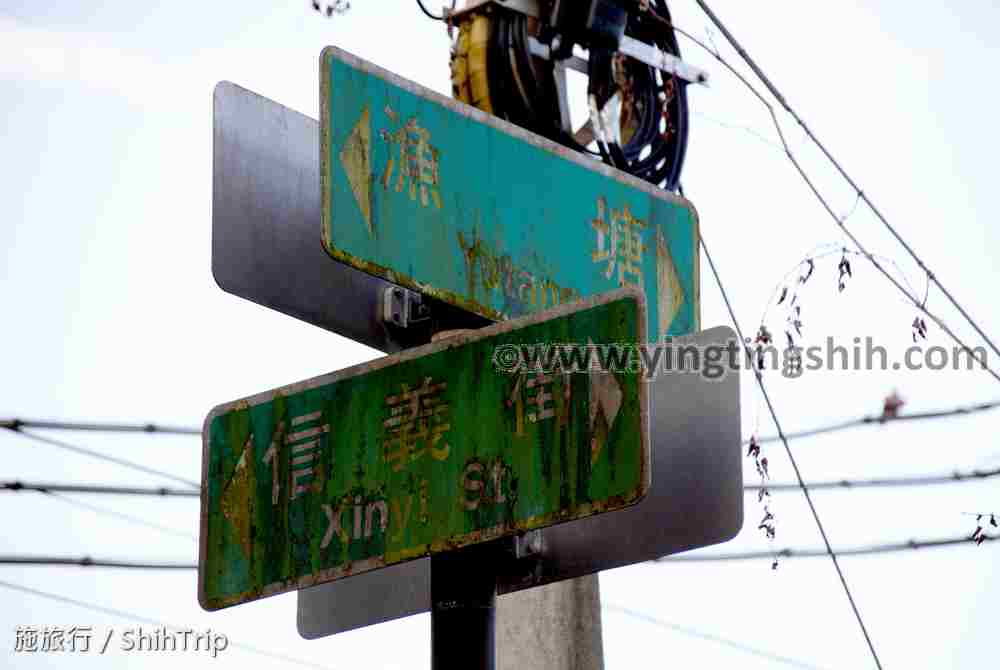 第5040篇[花蓮壽豐]魚塘路落羽松秘境／壽豐休閒農業區／小雨蛙有機生態農場Ｘ台灣施旅行｜Hualien Shoufeng Bald Cypress on Yutang Road X Taiwan ShihTrip
