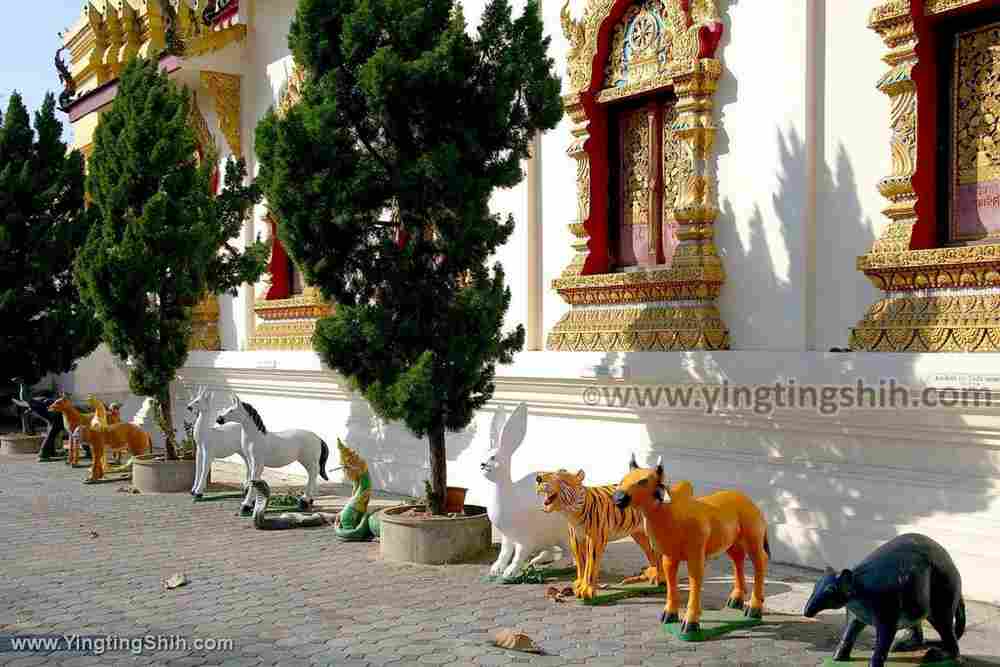 YTS_YTS_20200201_泰國南奔烏蒙寺／金色臥佛Thailand Lamphun Wat Umong035_539A3602.jpg