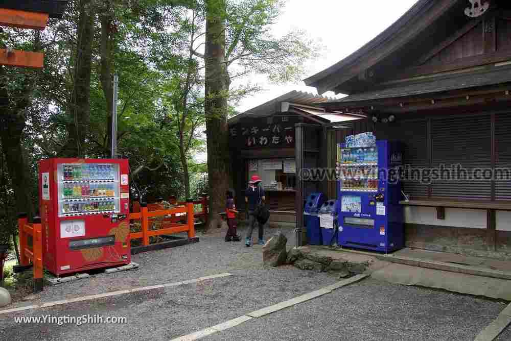 YTS_YTS_20180712_Japan Kyoto Arashiyama Monkey Park Iwatayama 日本京都嵐山猴子公園015_3A5A9598.jpg