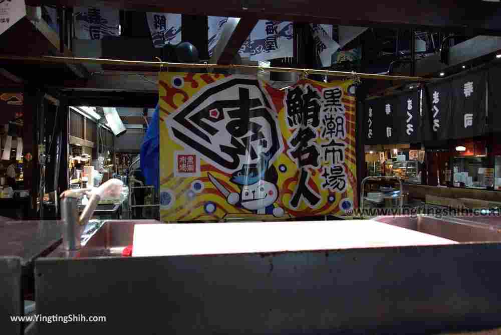 YTS_YTS_20180719_Japan Wakayama Kuroshio Market日本和歌山黒潮市場／金槍魚解體秀047_3A5A3840.jpg