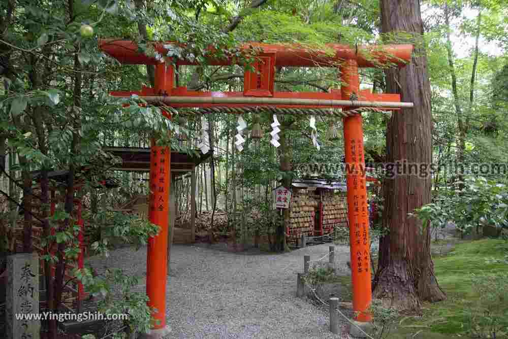 YTS_YTS_20180711_Japan Kansai Kyoto Arashiyama Bamboo Forest ／Nonomiya-Jinja Shrine 日本關西（近畿）京都嵐山竹林小徑、散策路／野宮神社035_3A5A3465.jpg