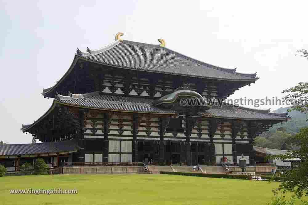 YTS_YTS_20180717_Japan Kansai Nara Todai-ji日本關西奈良東大寺／世界文化遺產123_3A5A8357.jpg