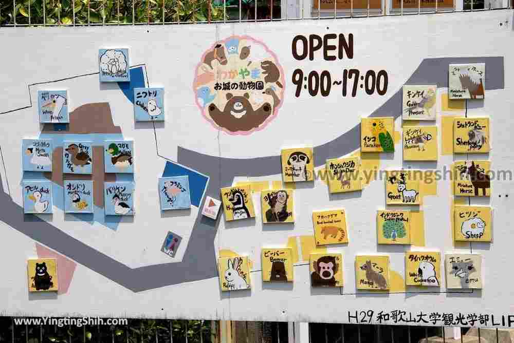 YTS_YTS_20180718_Japan Wakayama Park Zoo日本和歌山公園動物園（水禽園 ）／和歌山城童話園010_3A5A6481.jpg