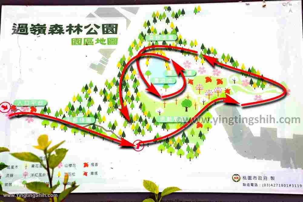 YTS_YTS_20200119_桃園中壢過嶺森林公園Taoyuan Zhongli Guoling Forest Park001_539A6626.jpg