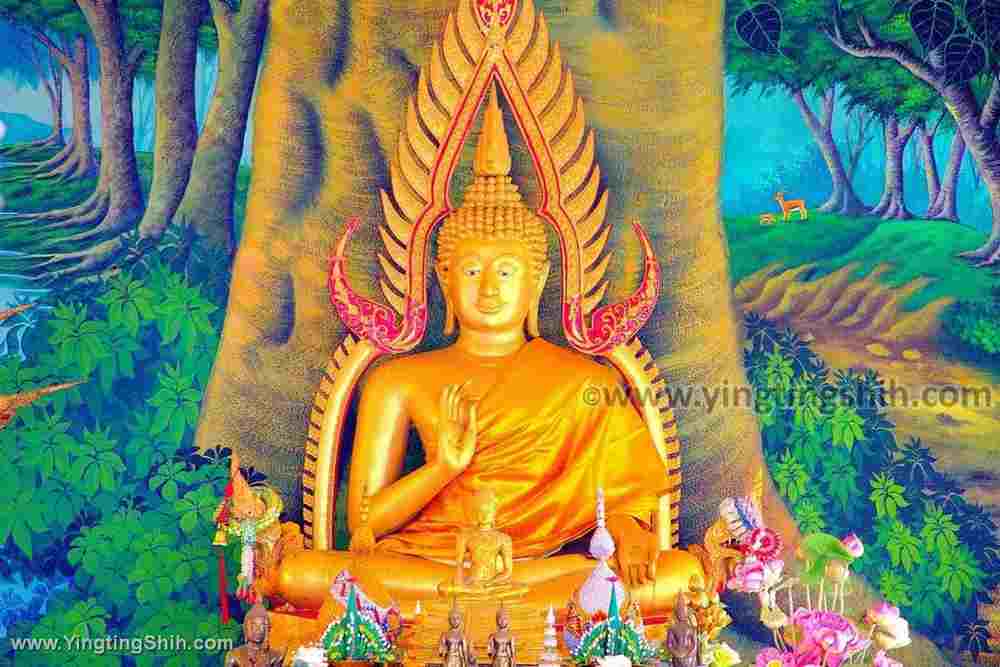 YTS_YTS_20200124_泰國北碧萬虎洞Thailand Kanchanaburi Wat Tham Seu062_539A3331.jpg