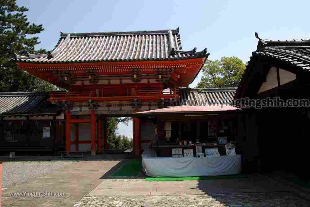 YTS_YTS_20180719_Japan Kansai Wakayama Kishu Toshogu Shrine日本關西（近畿）和歌山紀州東照宮063_3A5A3335.jpg