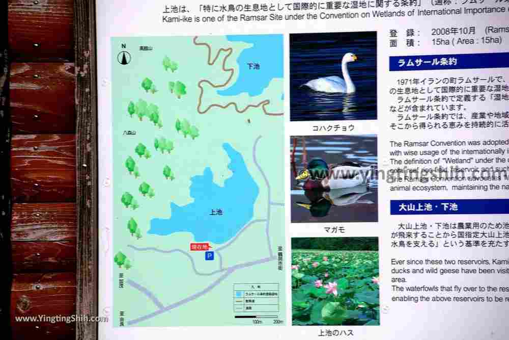 YTS_YTS_20190817_日本東北山形大山上池（拉姆薩公約登錄濕地）Japan Tohoku Yamagata Ohyama Kami-ike（Ramsar Wetland）007_539A9275.jpg