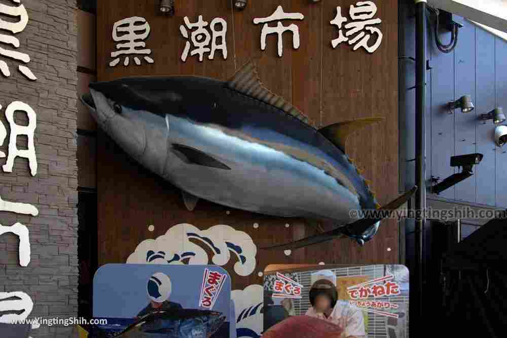 YTS_YTS_20180719_Japan Wakayama Kuroshio Market日本和歌山黒潮市場／金槍魚解體秀007_3A5A3611.jpg