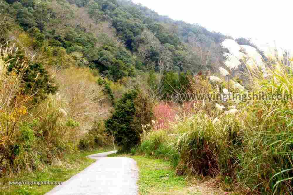 YTS_YTS_20190105_桃園復興塔曼山登山步道Taoyuan Fuxing Tamanshan Hiking Trail160_3A5A4745.jpg