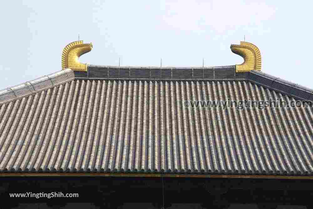 YTS_YTS_20180717_Japan Kansai Nara Todai-ji日本關西奈良東大寺／世界文化遺產095_3A5A8093.jpg
