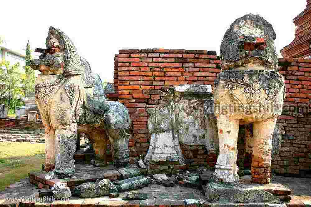 YTS_YTS_20200123_泰國大城塔米卡拉特寺／公雞廟Thailand Ayutthaya Wat Thammikarat059_539A1515.jpg