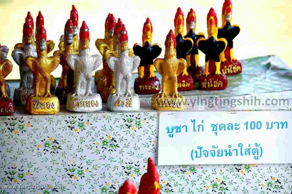 YTS_YTS_20200123_泰國大城塔米卡拉特寺／公雞廟Thailand Ayutthaya Wat Thammikarat101_539A1597.jpg