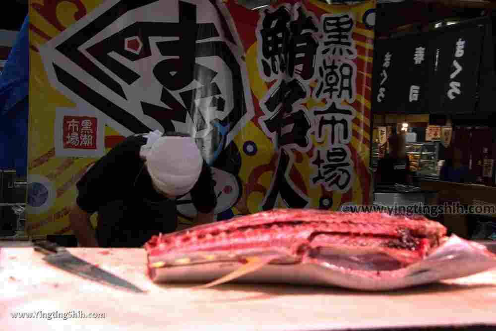 YTS_YTS_20180719_Japan Wakayama Kuroshio Market日本和歌山黒潮市場／金槍魚解體秀088_3A5A4867.jpg