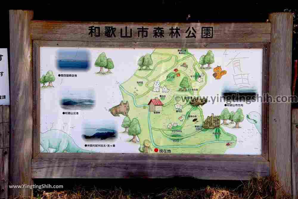 YTS_YTS_20180720_日本關西和歌山市森林公園Japan Kansai Wakayama Hitotoshizennofureai Koen Forest Park026_3A5A7282.jpg