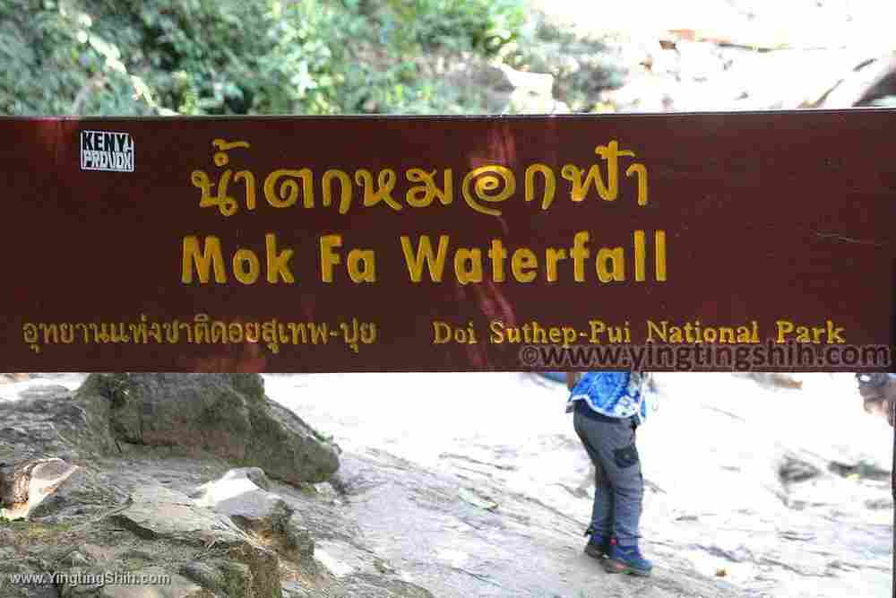 YTS_YTS_20200204_泰國清邁天霧瀑布Thailand Chiang Mai Mork Fa Waterfall025_539A7125.jpg
