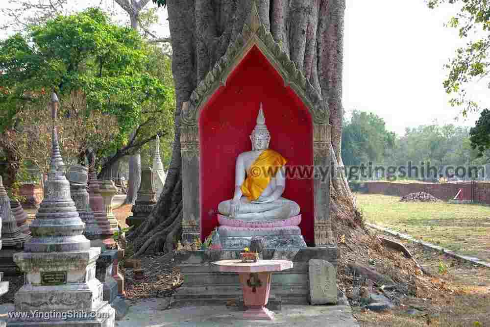 YTS_YTS_20200123_泰國大城塔米卡拉特寺／公雞廟Thailand Ayutthaya Wat Thammikarat006_539A1373.jpg