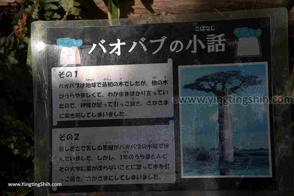 YTS_YTS_20180815_Japan Nagasaki Sasebo Zoological Park and Botanical Garden日本長崎佐世保九十九島動植物園森閃閃／日本最大天井水槽企鵝館150_3A5A5664.jpg