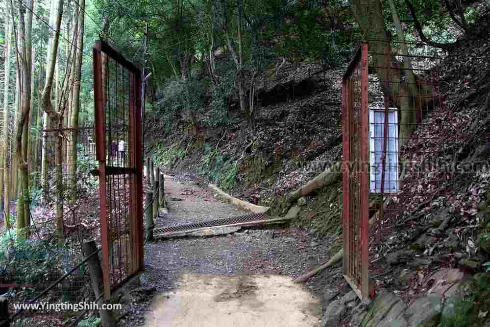 YTS_YTS_20180712_Japan Kyoto Arashiyama Monkey Park Iwatayama 日本京都嵐山猴子公園027_3A5A9672.jpg