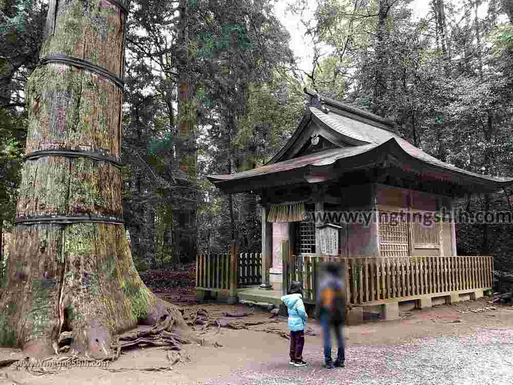 YTS_YTS_20190201_日本九州宮崎高千穂神社Japan Kyushu Miyazaki Takachiho Shrine068_IMG_3103.jpg
