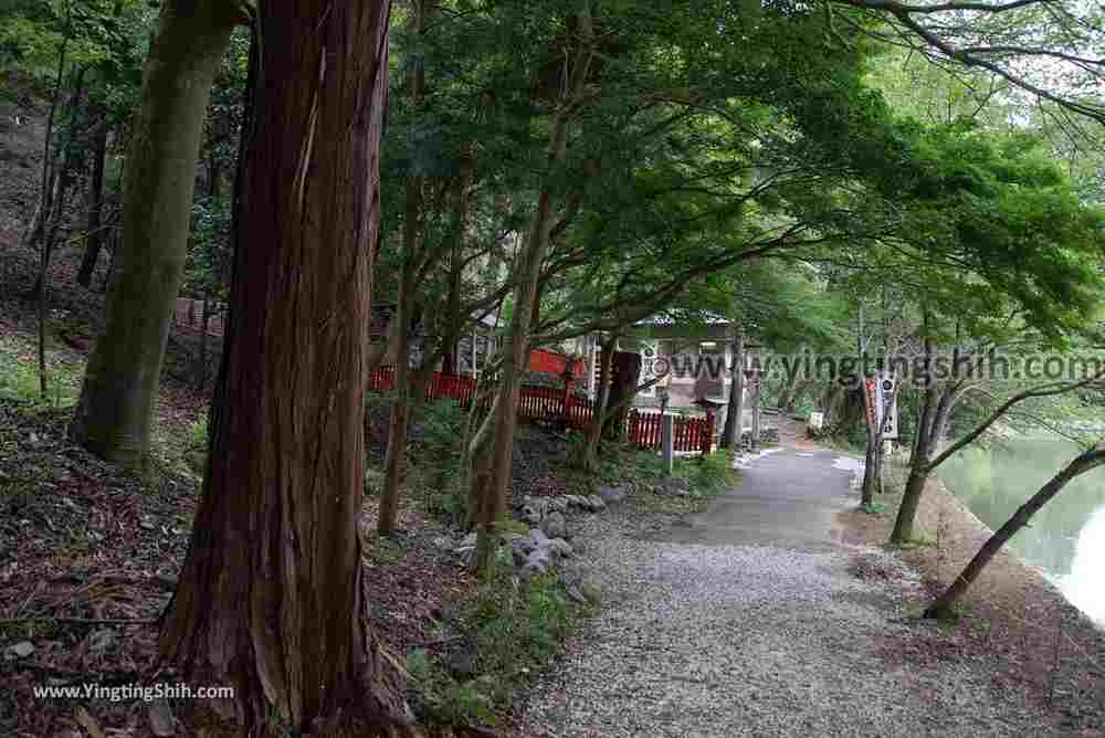 YTS_YTS_20180711_Japan Kansai Kyoto Arashiyama Park／Togetu Kobashi Bridge日本京都嵐山公園龜山地區／渡月橋121_3A5A6909.jpg