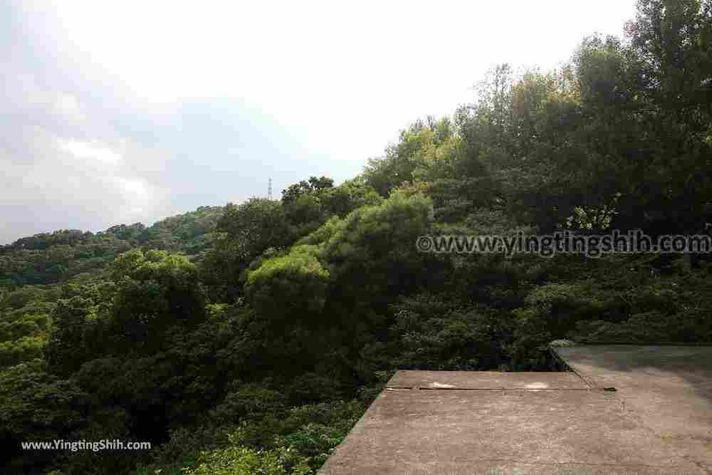 YTS_YTS_20190907_新北樹林百年榕樹／福源山步道New Taipei Shulin Centennial Old Banyan Tree017_539A3417.jpg