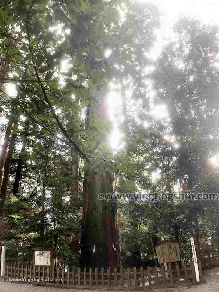 YTS_YTS_20190201_日本九州宮崎高千穂神社Japan Kyushu Miyazaki Takachiho Shrine072_IMG_3114.jpg