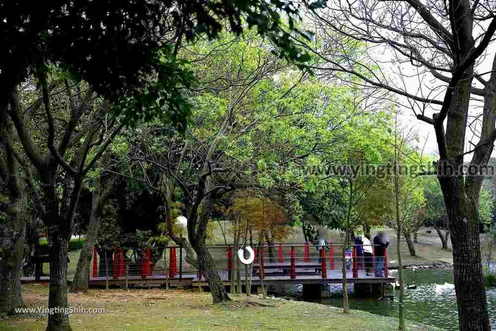 YTS_YTS_20190204_桃園八德埤塘生態公園／TINA廚房Taoyuan Bade Pond Ecology Park060_539A7462.jpg