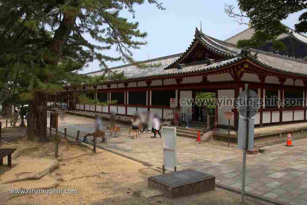 YTS_YTS_20180717_Japan Kansai Nara Todai-ji日本關西奈良東大寺／世界文化遺產181_3A5A9588.jpg