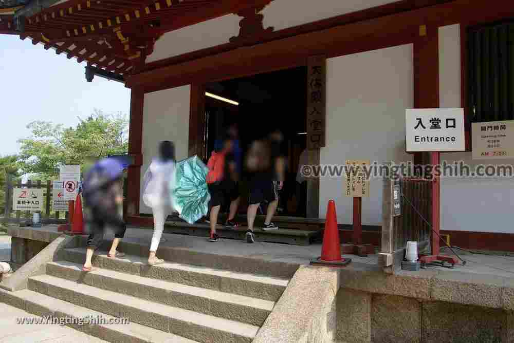 YTS_YTS_20180717_Japan Kansai Nara Todai-ji日本關西奈良東大寺／世界文化遺產101_3A5A8152.jpg