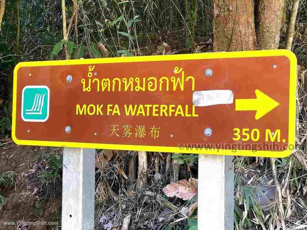 YTS_YTS_20200204_泰國清邁天霧瀑布Thailand Chiang Mai Mork Fa Waterfall010_IMG_1580.jpg