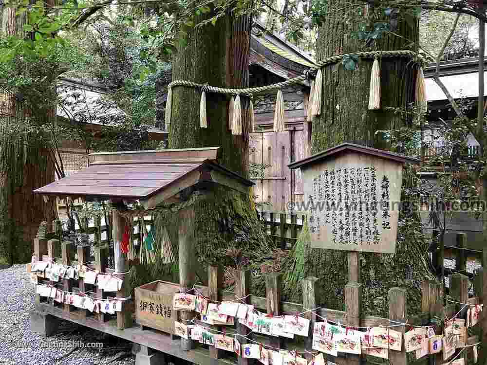 YTS_YTS_20190201_日本九州宮崎高千穂神社Japan Kyushu Miyazaki Takachiho Shrine062_IMG_3100.jpg