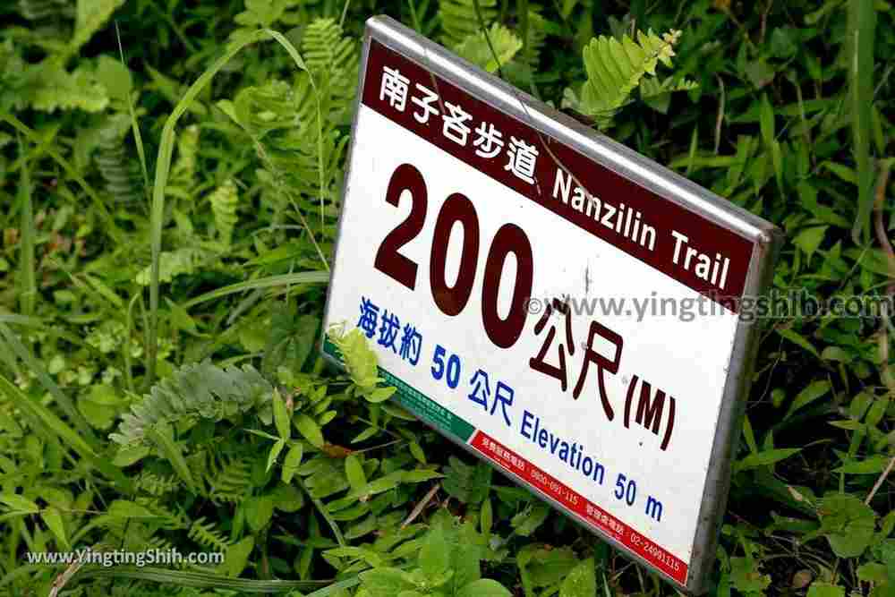 YTS_YTS_20190504_新北瑞芳三百六十度絕景懸崖／南子吝步道New Taipei Ruifang Nanzihlin Trail030_539A7404.jpg