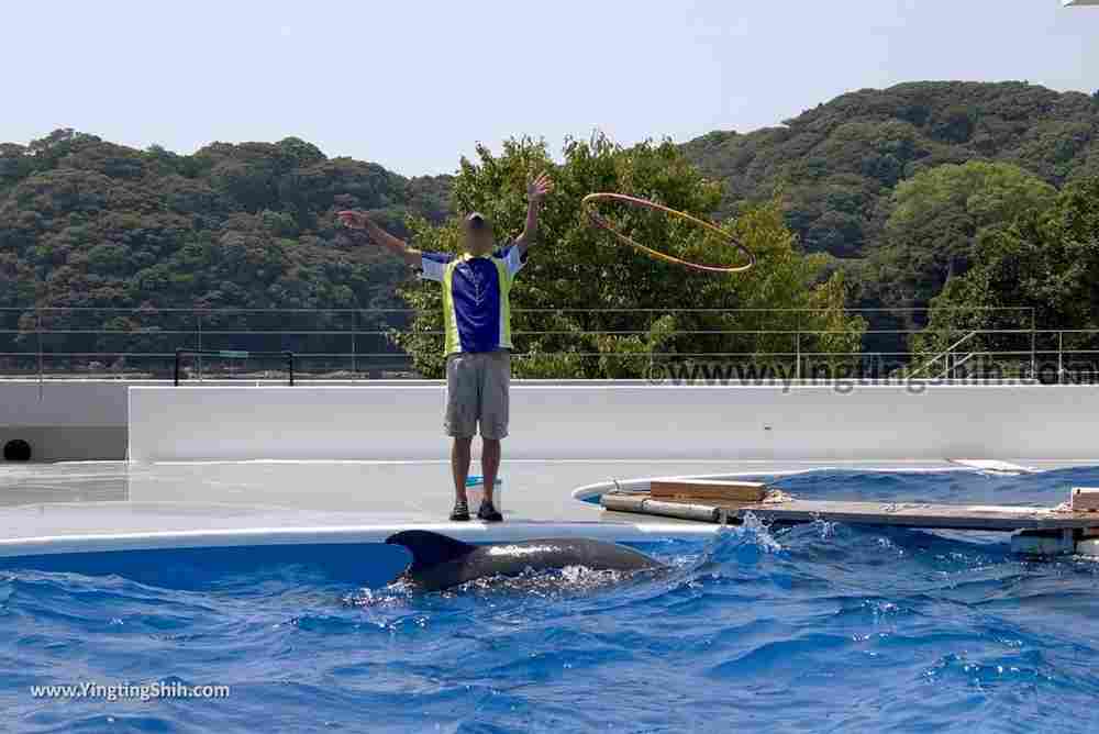 YTS_YTS_20180820_Japan Nagasaki Sasebo Kujukushima Aquarium Umi-kirara日本長崎佐世保九十九島水族館／日本最大水母交嚮樂廳161_3A5A8315.jpg