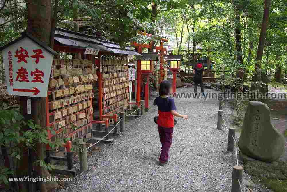 YTS_YTS_20180711_Japan Kansai Kyoto Arashiyama Bamboo Forest ／Nonomiya-Jinja Shrine 日本關西（近畿）京都嵐山竹林小徑、散策路／野宮神社037_3A5A3492.jpg