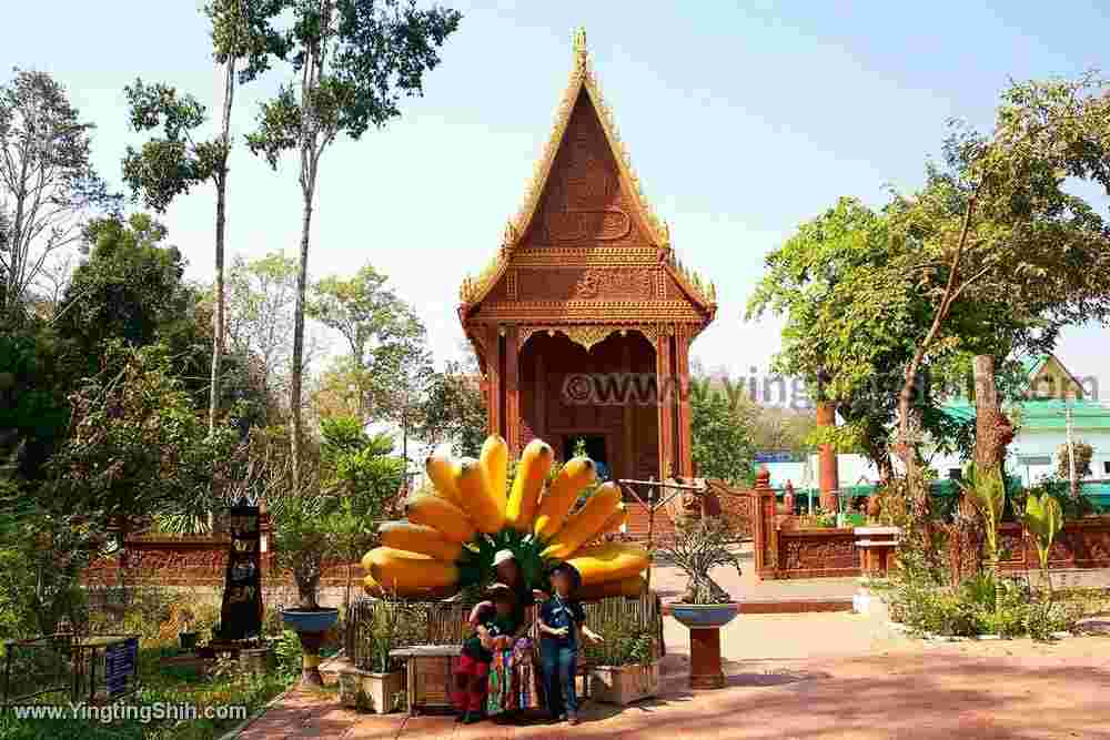 YTS_YTS_20200127_泰國甘烹碧紅土寺Thailand Kamphaeng Phet Wat Nong Pling060_539A6773.jpg
