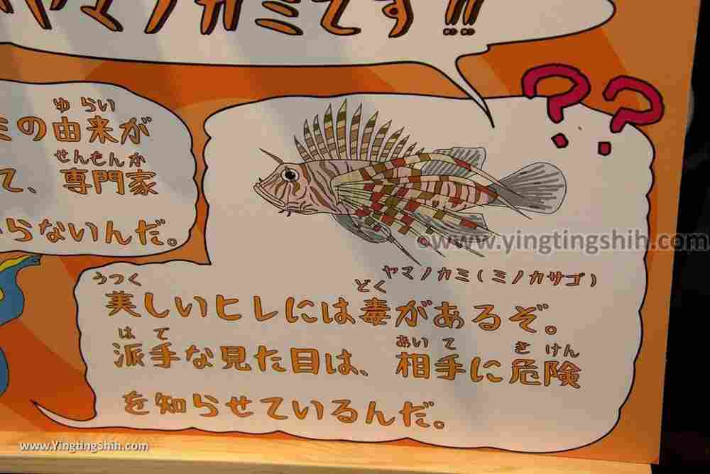 YTS_YTS_20180820_Japan Nagasaki Sasebo Kujukushima Aquarium Umi-kirara日本長崎佐世保九十九島水族館／日本最大水母交嚮樂廳243_3A5A7502.jpg
