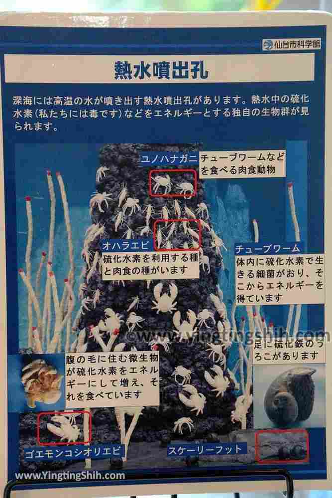 YTS_YTS_20190820_日本東北宮城スリーエム仙台市科学館Japan Tohoku Miyagi 3M Sendai City Science Museum026_539A5727.jpg