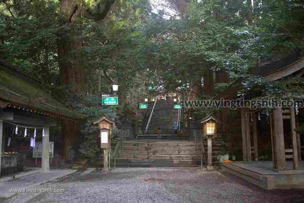 YTS_YTS_20190201_日本九州宮崎高千穂神社Japan Kyushu Miyazaki Takachiho Shrine018_3A5A7070.jpg