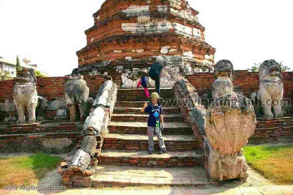 YTS_YTS_20200123_泰國大城塔米卡拉特寺／公雞廟Thailand Ayutthaya Wat Thammikarat060_539A1517.jpg