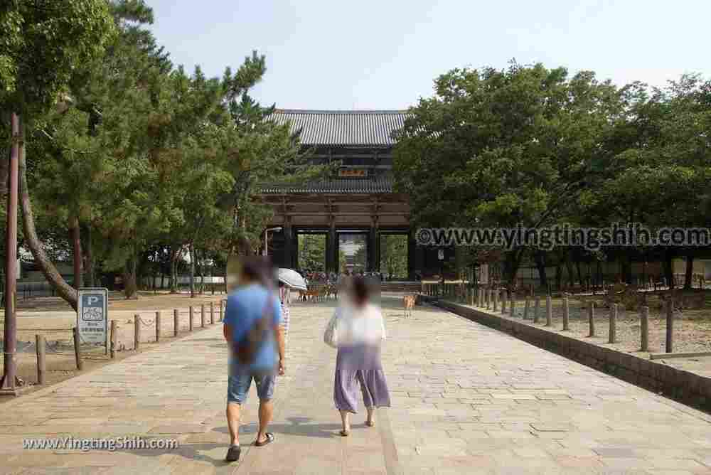 YTS_YTS_20180717_Japan Kansai Nara Todai-ji日本關西奈良東大寺／世界文化遺產026_3A5A7153.jpg