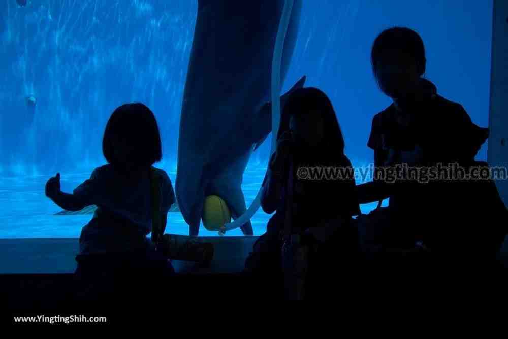 YTS_YTS_20180820_Japan Nagasaki Sasebo Kujukushima Aquarium Umi-kirara日本長崎佐世保九十九島水族館／日本最大水母交嚮樂廳114_3A5A4152.jpg