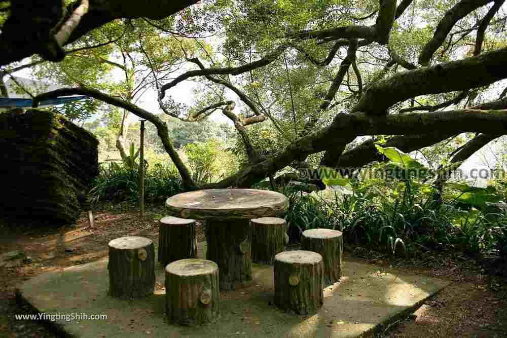 YTS_YTS_20190907_新北樹林百年榕樹／福源山步道New Taipei Shulin Centennial Old Banyan Tree064_539A3559.jpg