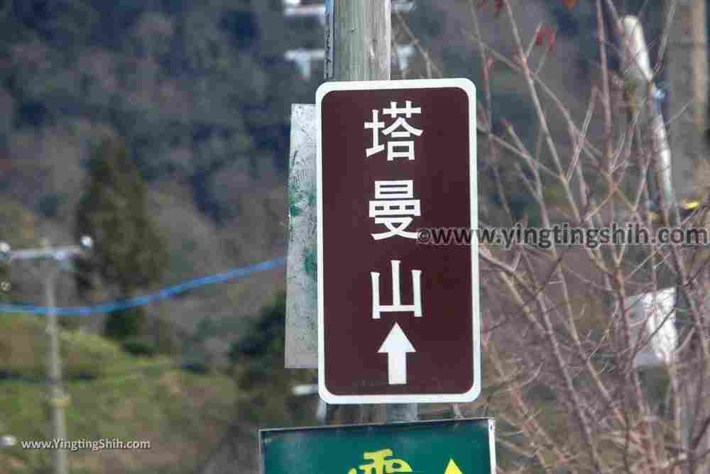 YTS_YTS_20190105_桃園復興塔曼山登山步道Taoyuan Fuxing Tamanshan Hiking Trail015_3A5A3219.jpg